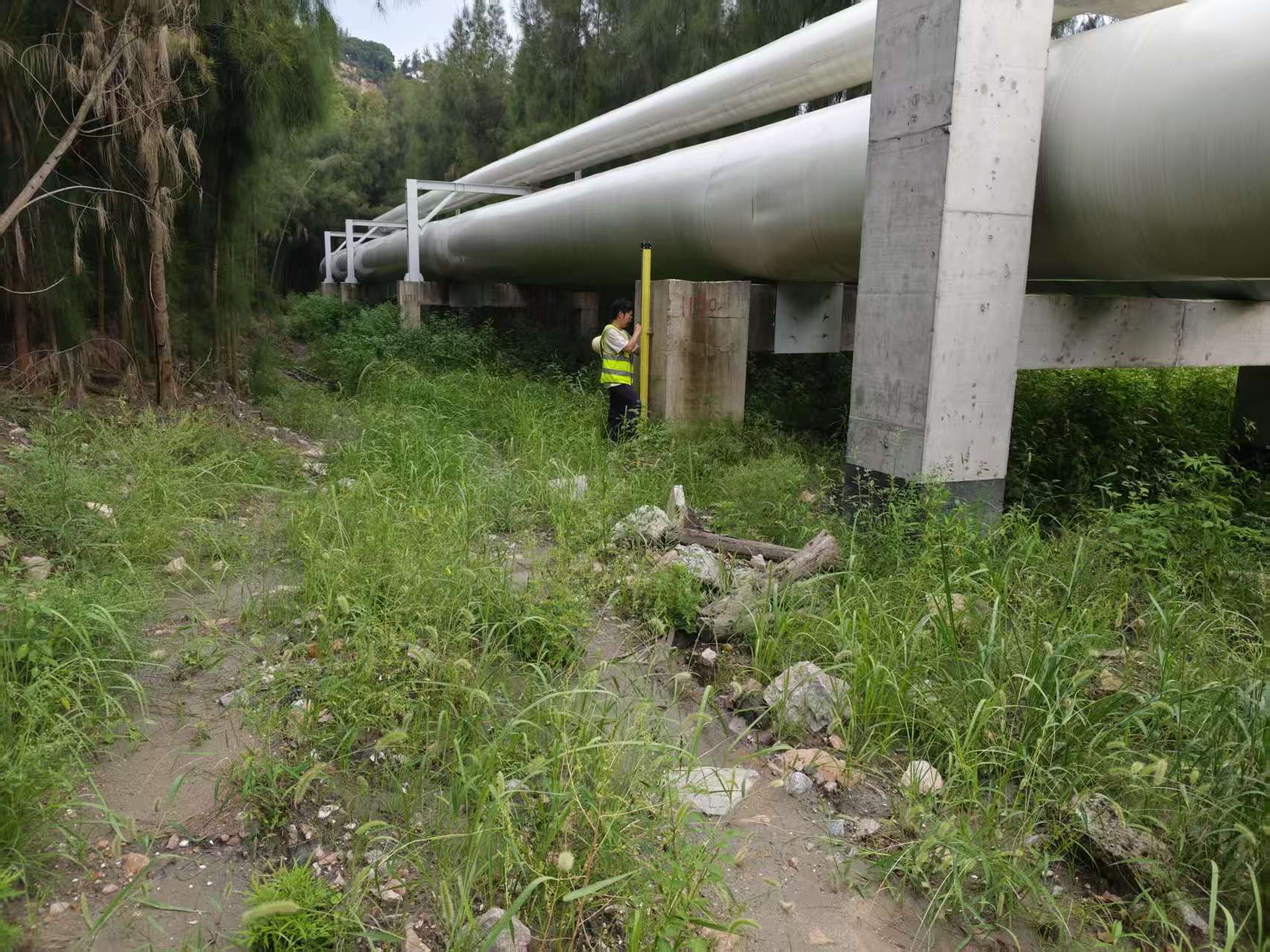 微信圖片_20250724152936_85 微信圖片_20250724152936_85